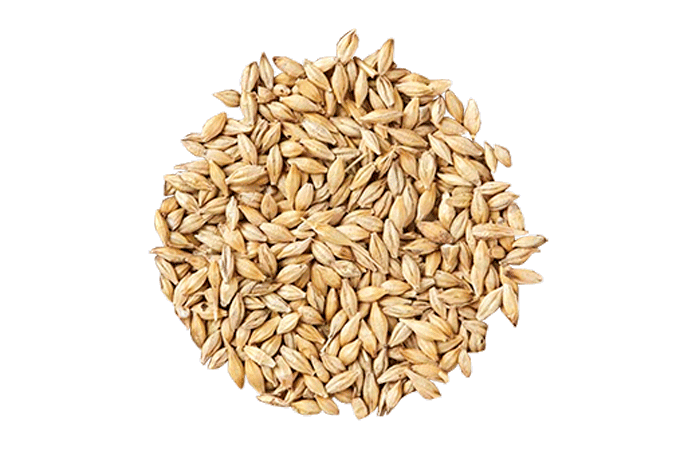 barley pile