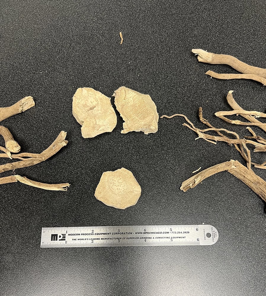Root chunks